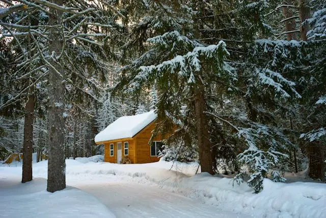 Holzhütte in schneebedecktem Wald