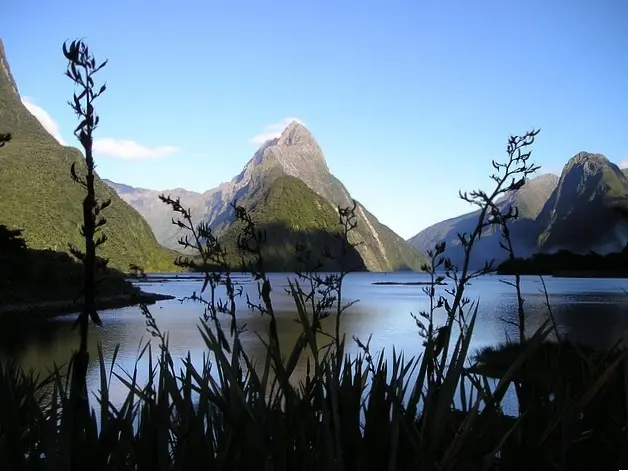 Blick auf Berge des Fjordlands