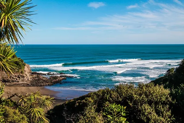 Subtropischer Strand