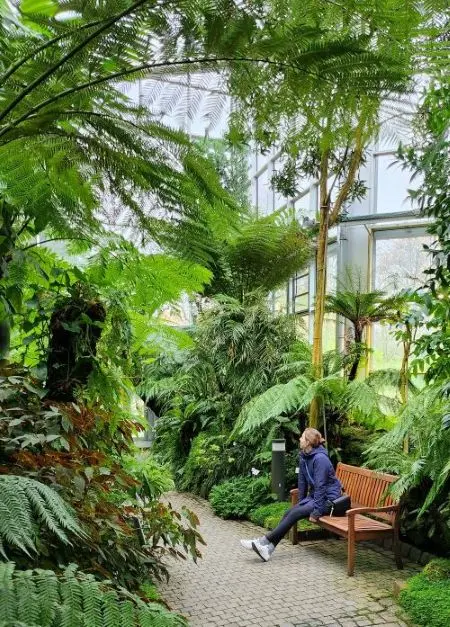 Steffi auf einer Holzbank sitzend, blickt in dichtes Palmengrün