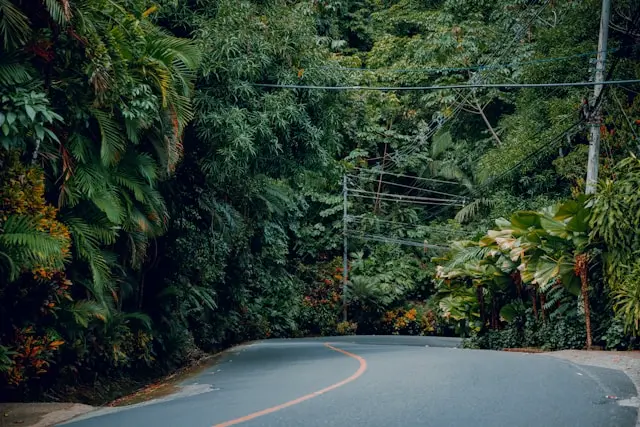 Ausgebaute Straße durch den Manuel Antonio Nationalpark 
