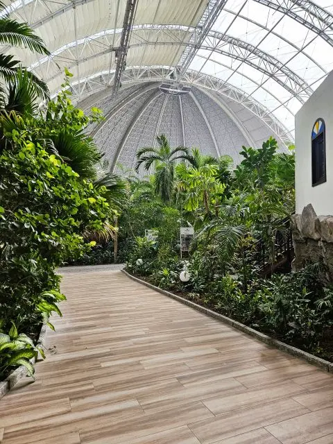 Holzweg - Tropical Islands Packliste Abschlussbild 